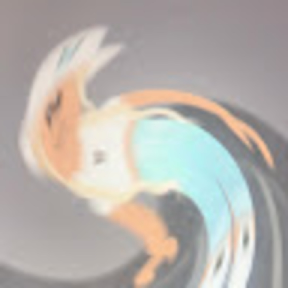 Meet your Posher, Chl0ee